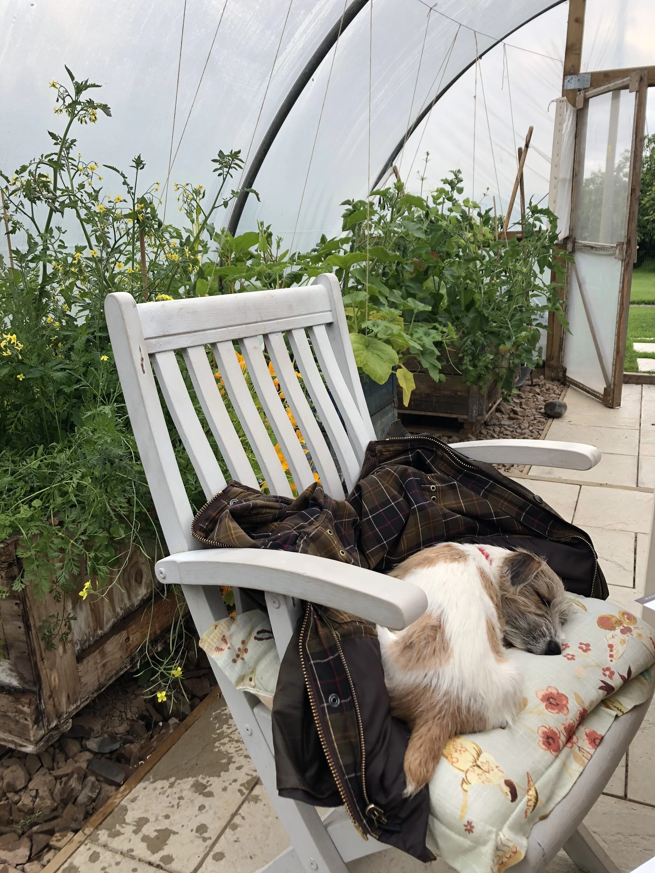 The days are just packed (and other excuses) - [22-28 June]