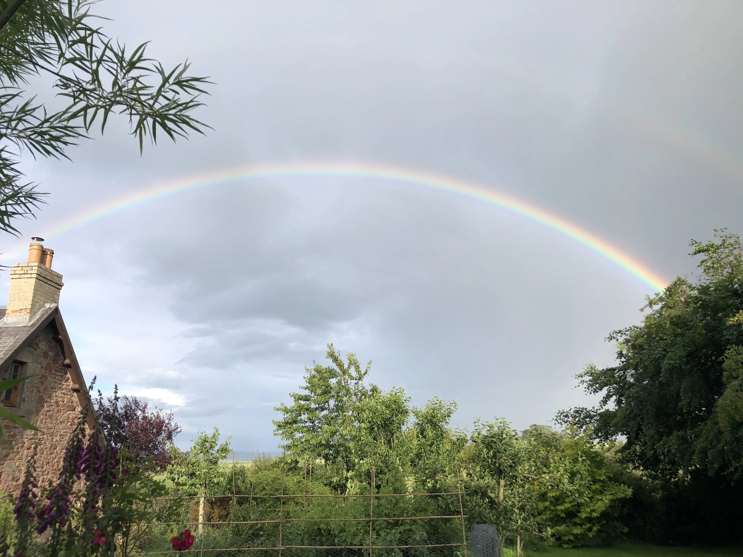 On birds, beauty and baking failures (29th June - 5th July)