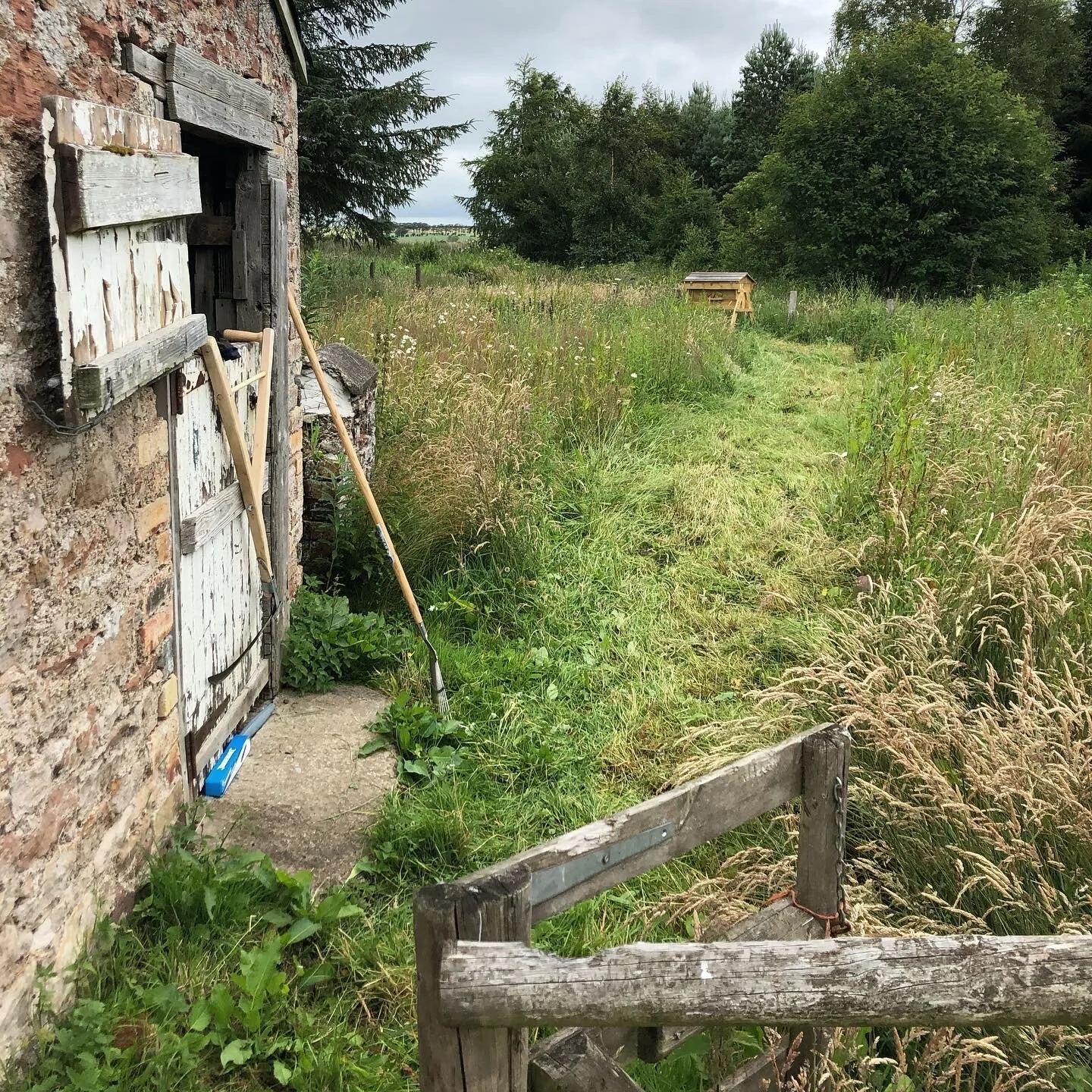 The tiny space I cleared after an hour.