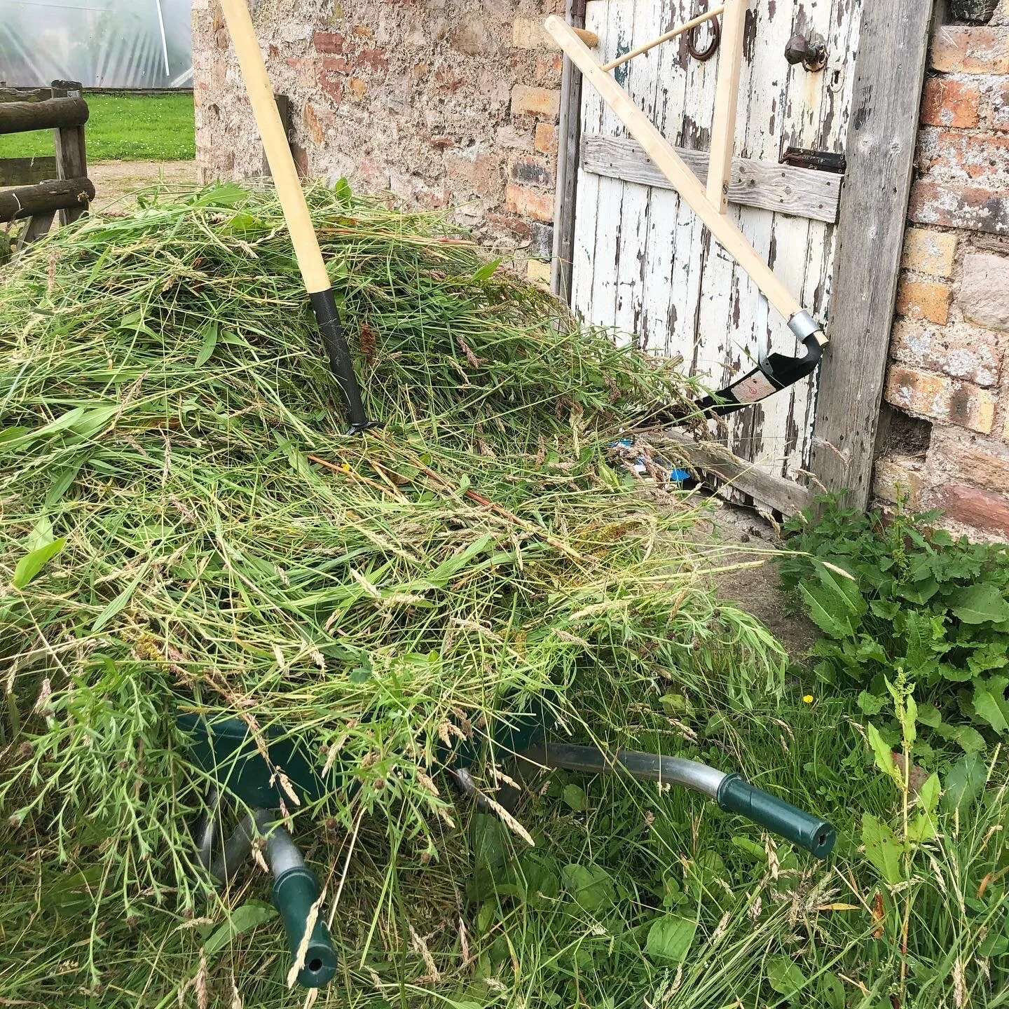 Huge amounts of organic matter!