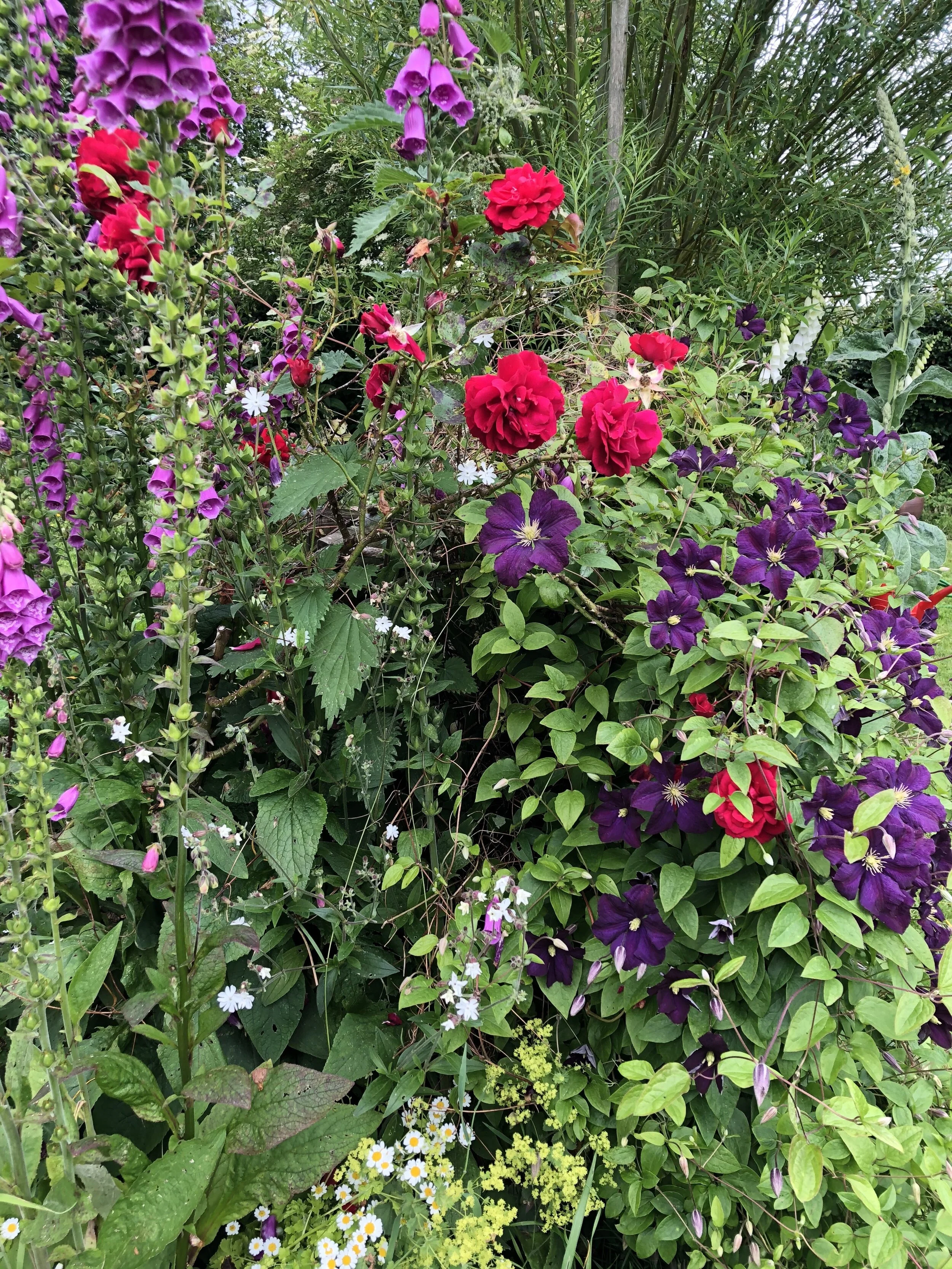 Beauty or Chaos? Or always both?