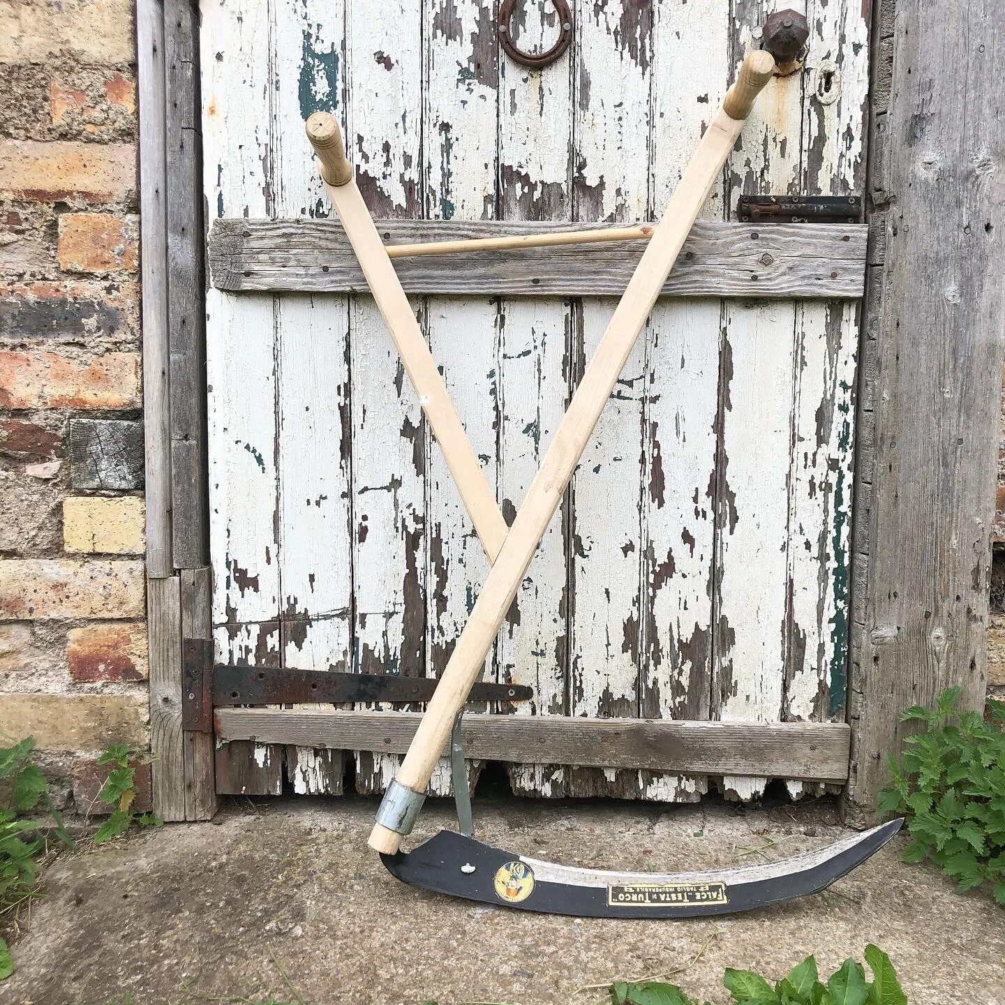 Tending to my brain-cells, pruning my thoughts: gardening and mental health (13 - 18 July)