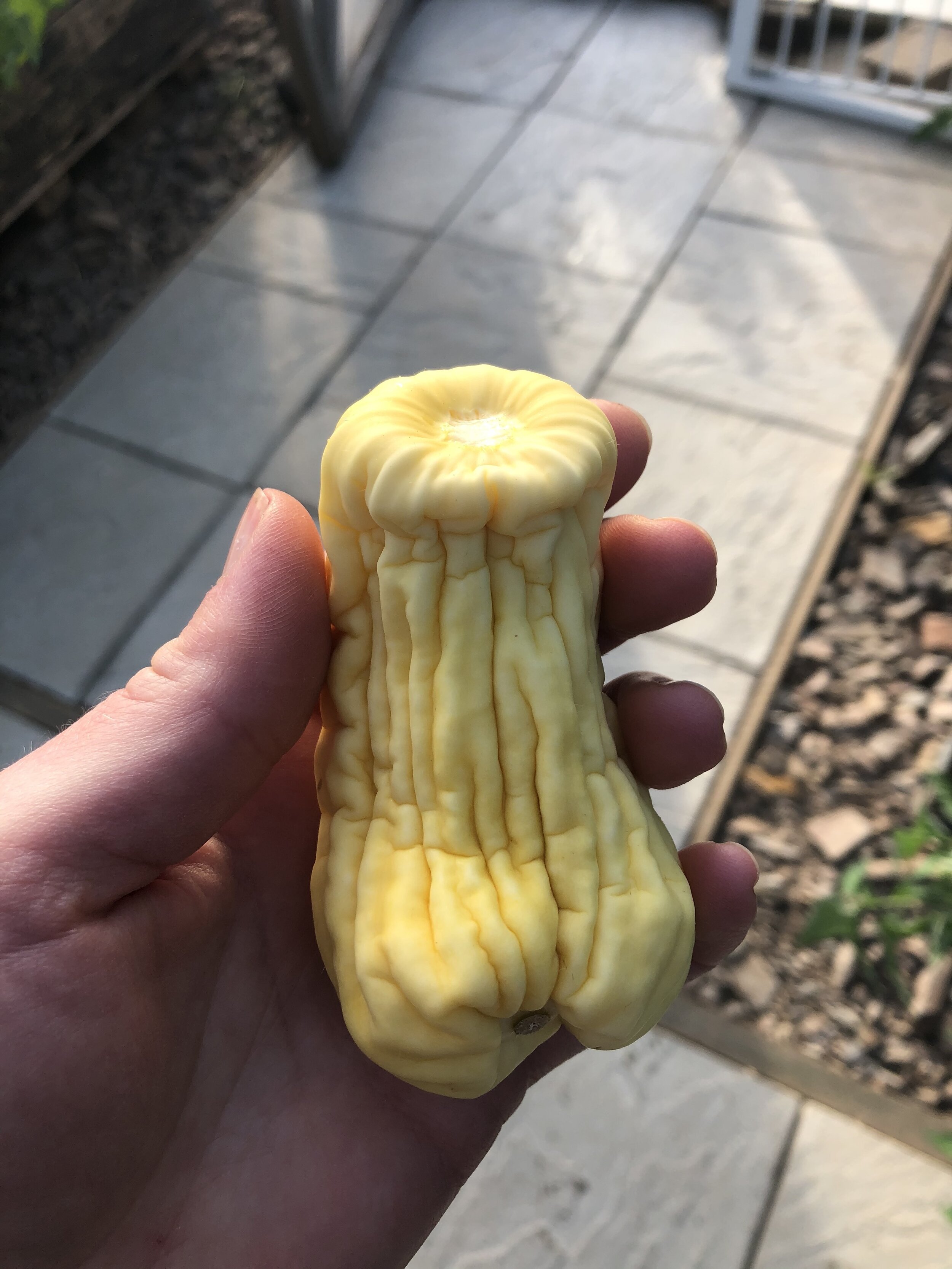 Squash by name, squish by nature.