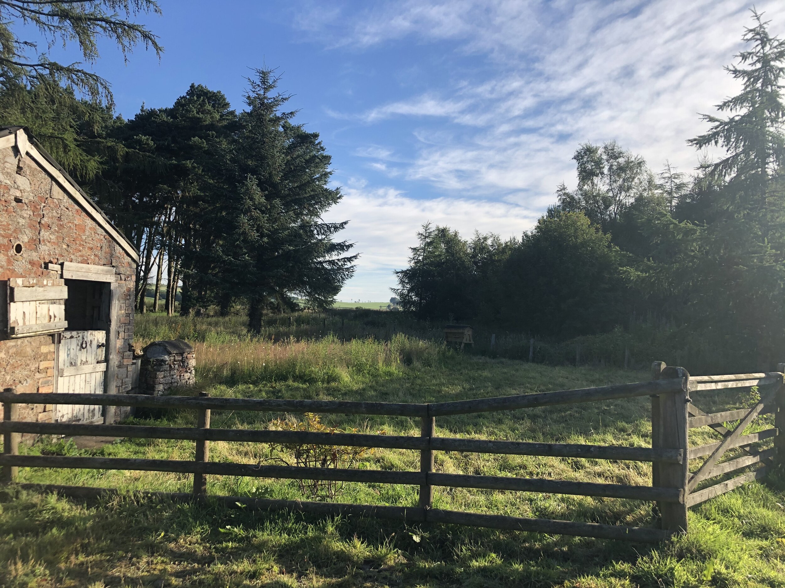 A rare sunny morning in the paddock.