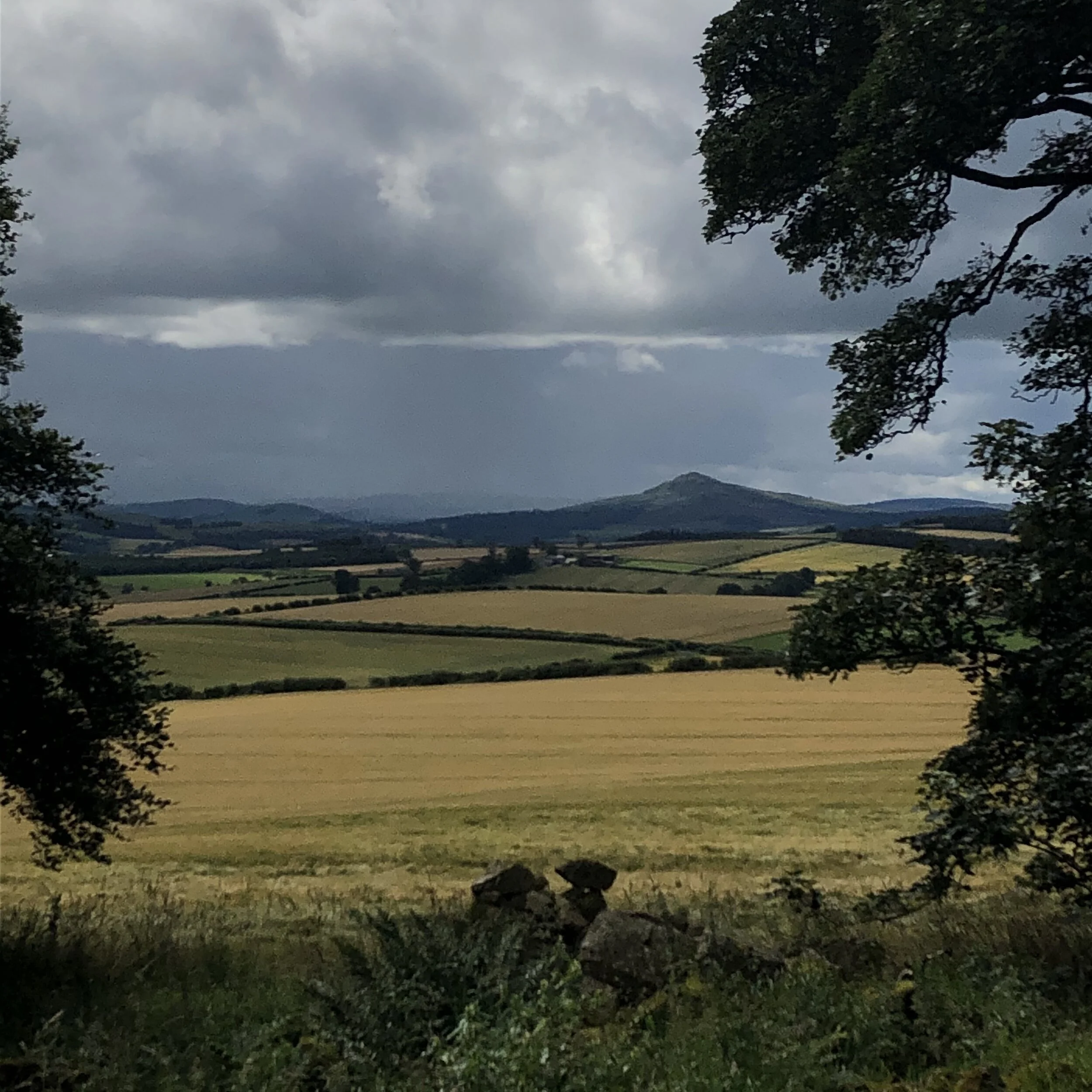 Moody blues over Ruberslaw