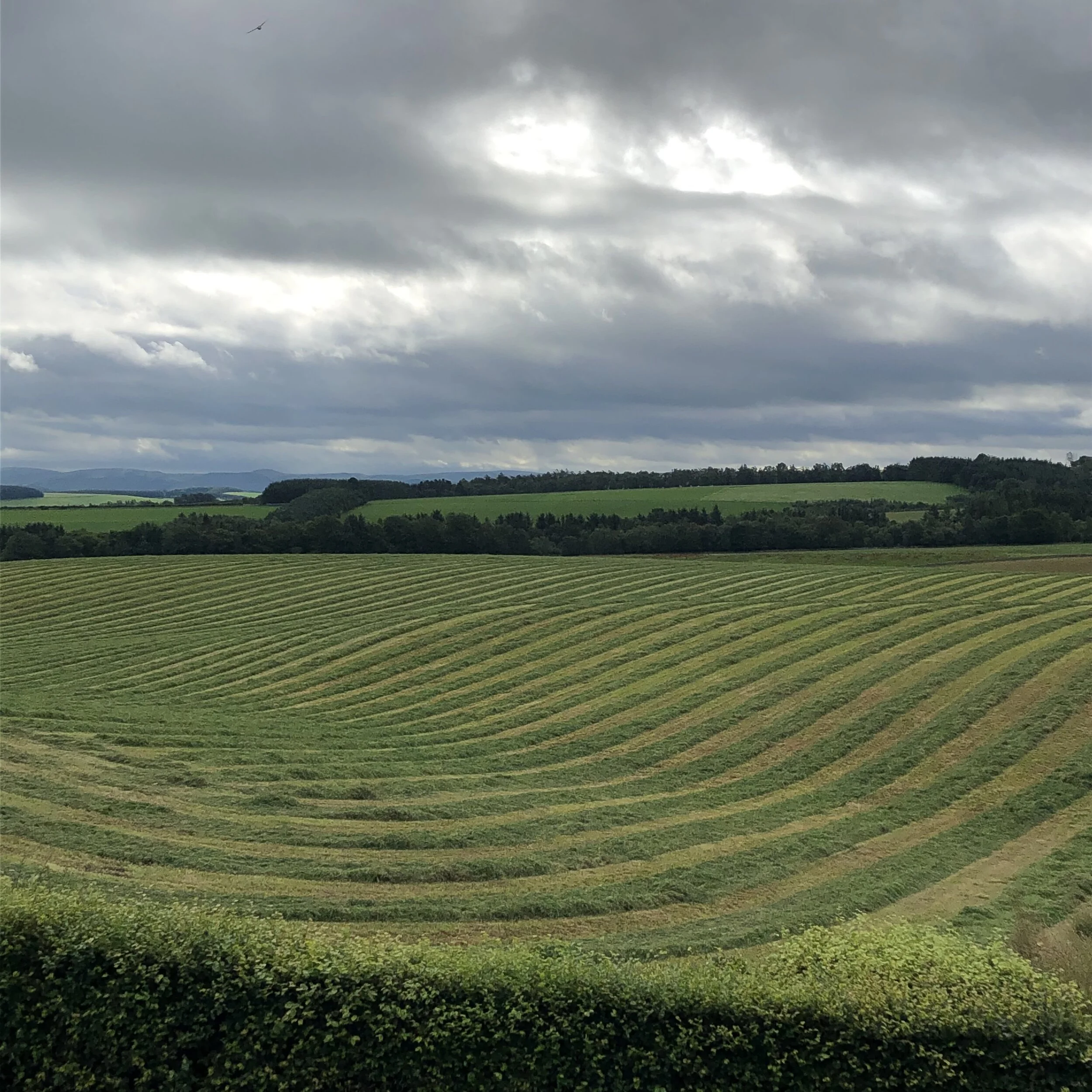 Harvests and history (3-9th August)