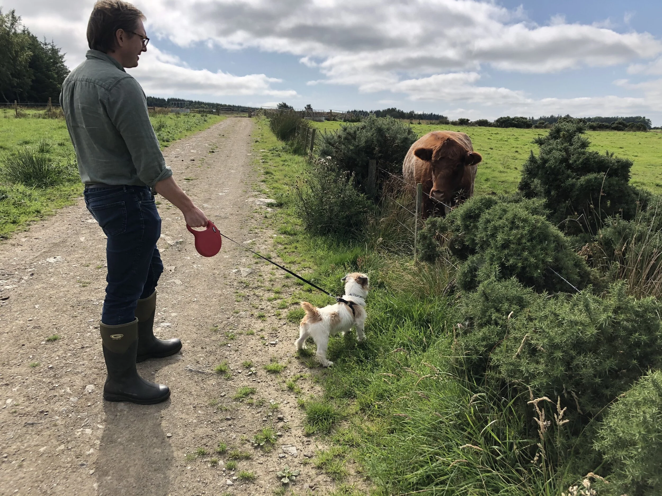 Humphrey meets his first livestock