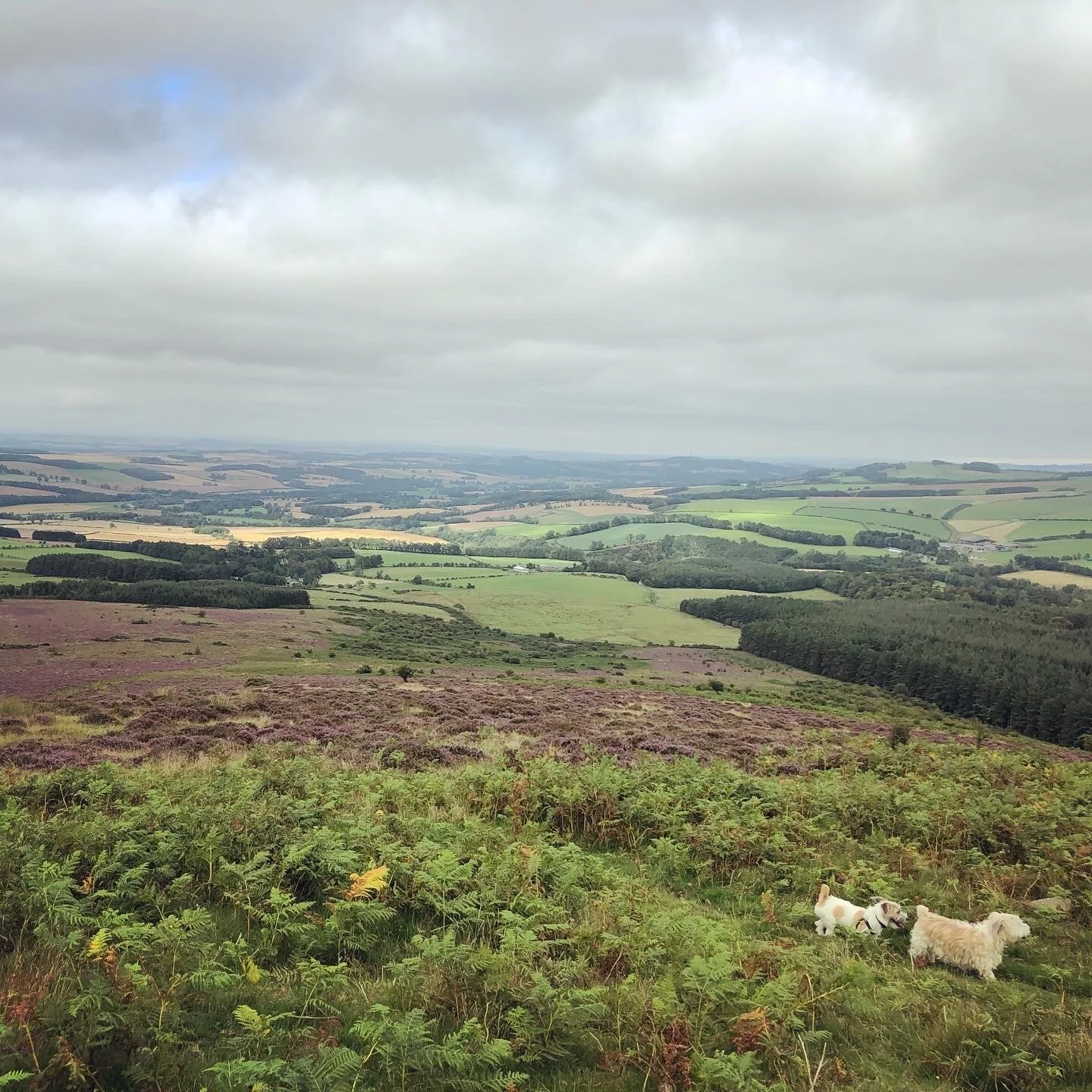 Humph with Great Uncle Charlie on Ruberslaw