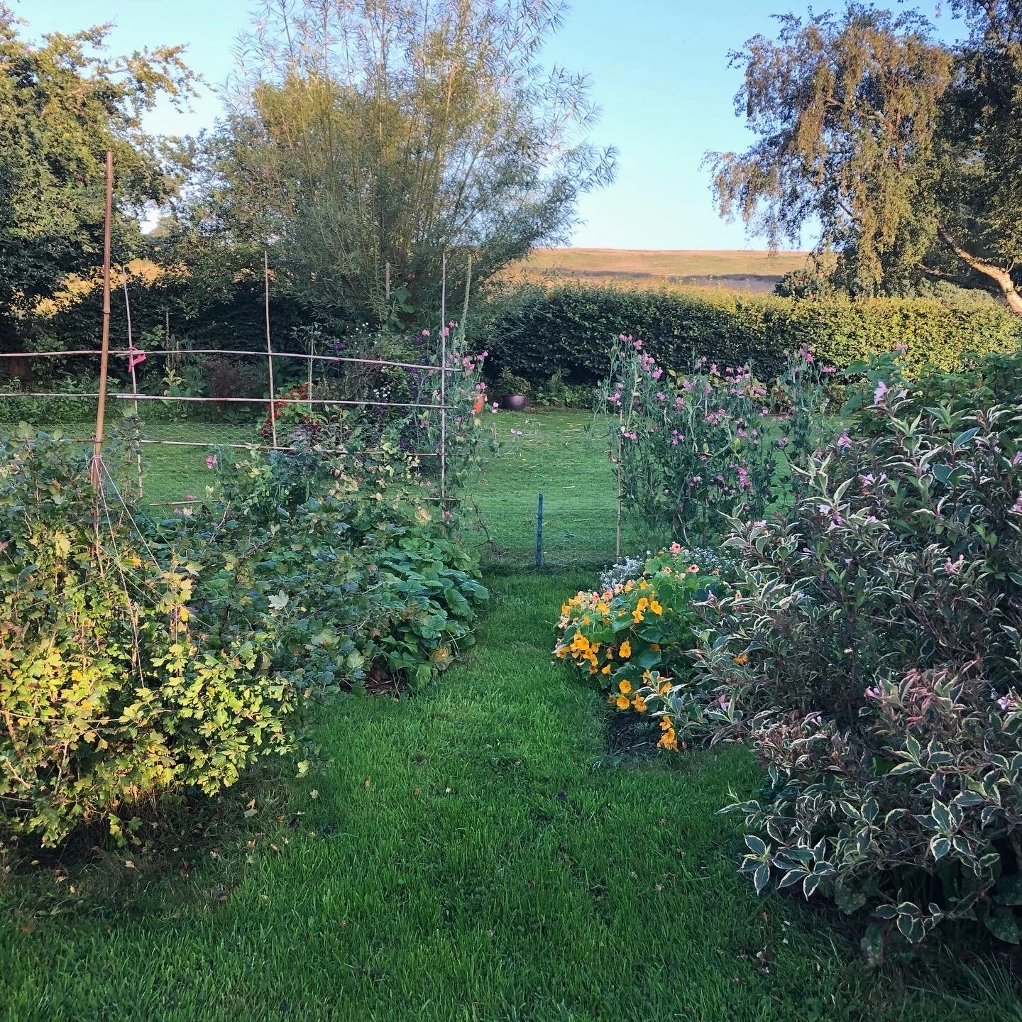 out of hand, but still pretty