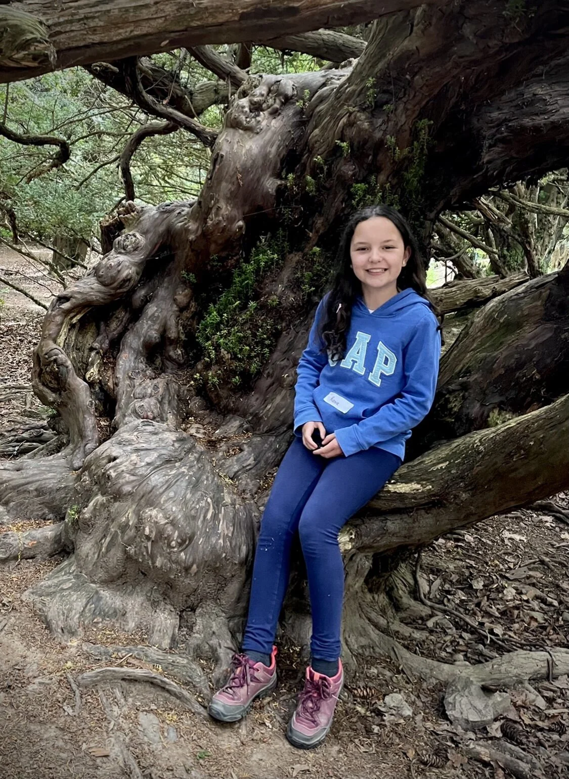 Putting ourselves in the shoes - or seat! - of our ancestors, and imagining how they would have interacted with the natural world