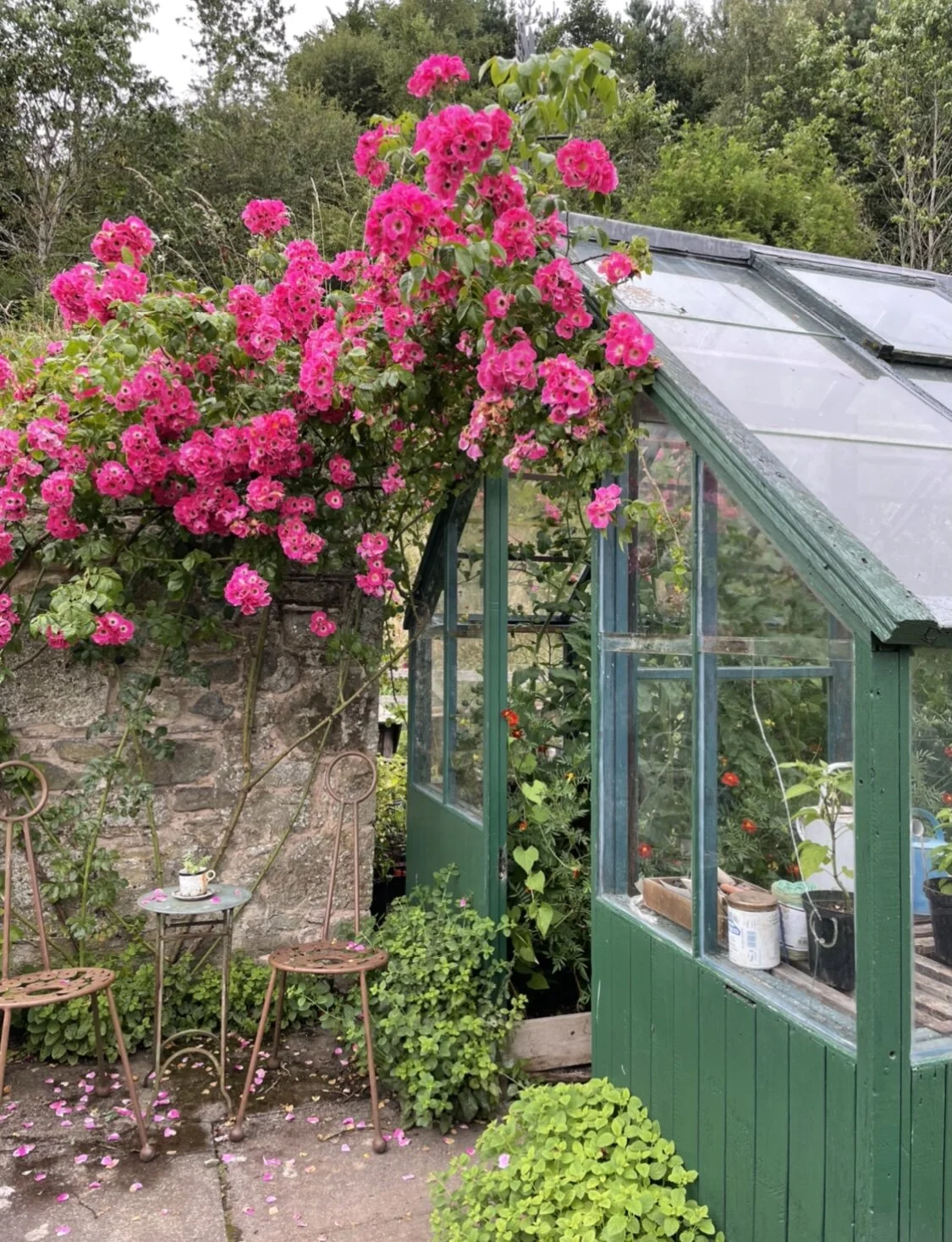 Changing weather, water, and the meaning of community (26 July - 1st August, 2021)