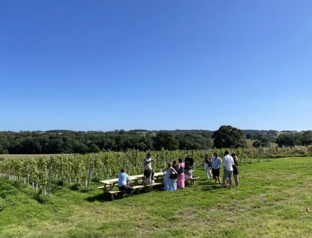 Tillingham Natural Winery: Out standing in their field (vineyard).