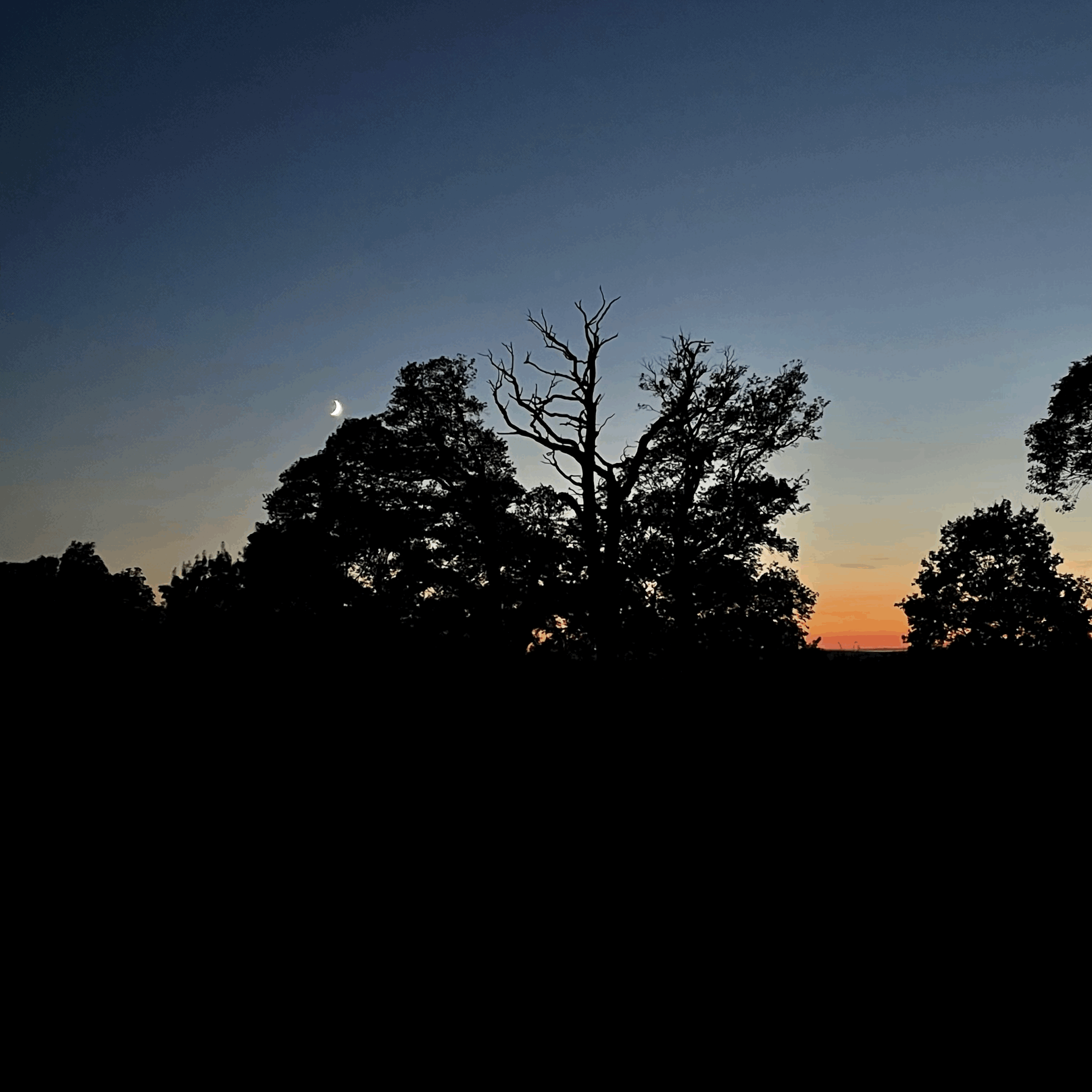 The crescent moon over the Kentish countryside - the perfect conditions to spy glow-worms!