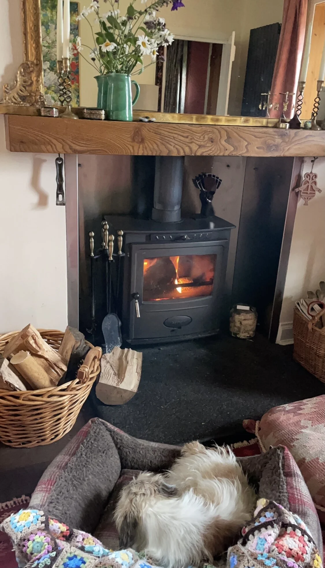 Post-walkies warm up.