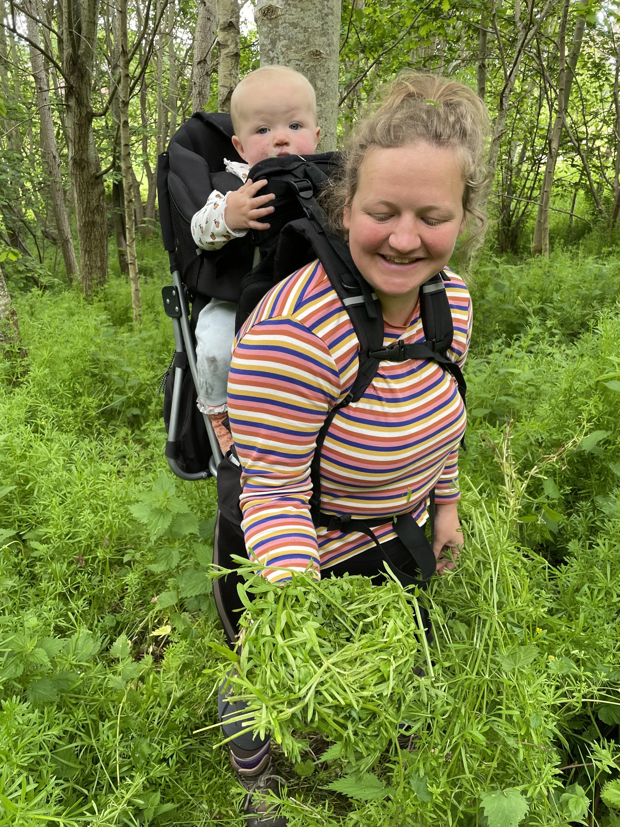 Nature Connection? It's child's play. - Wild Harvest Walk, early June 2022