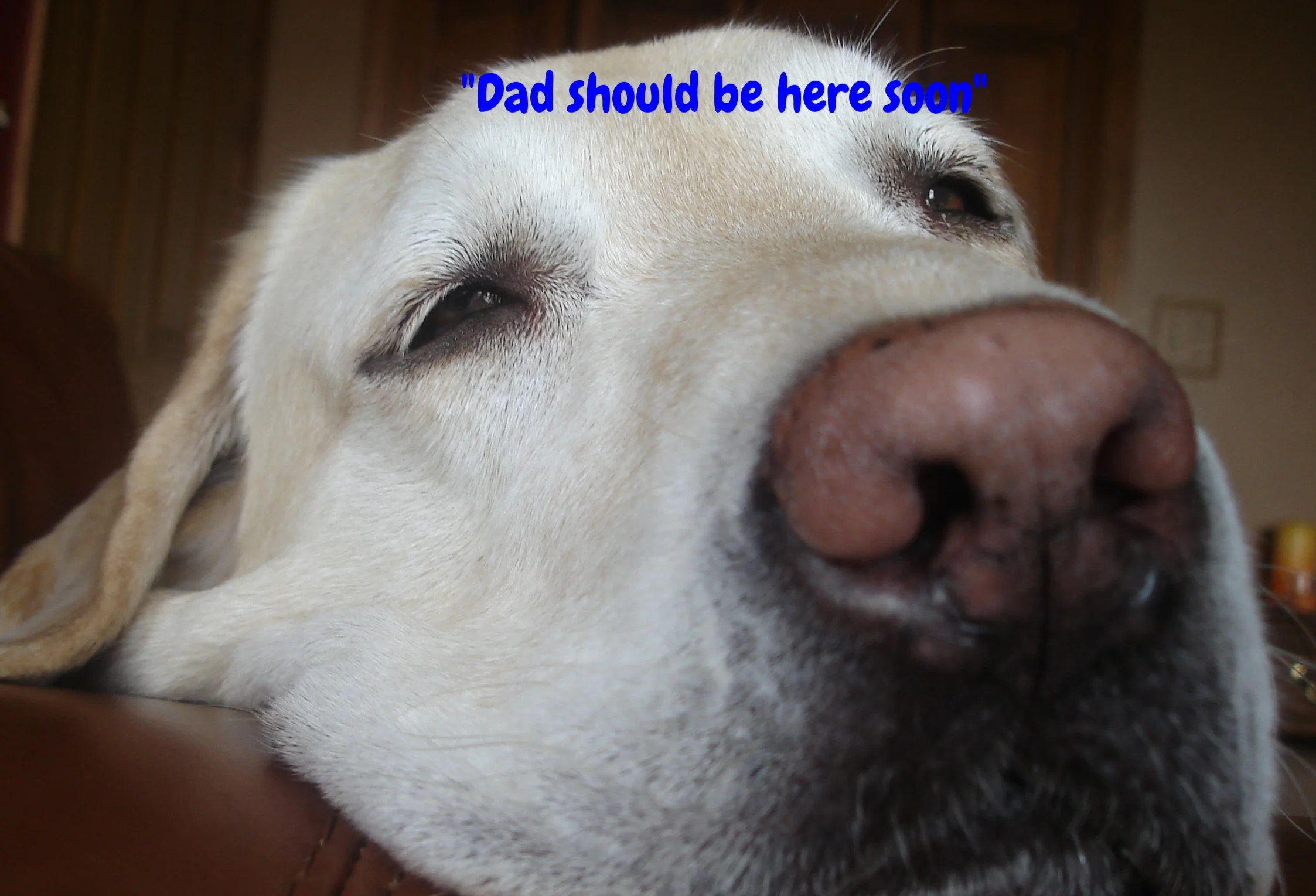 christmas 2012 107.JPG