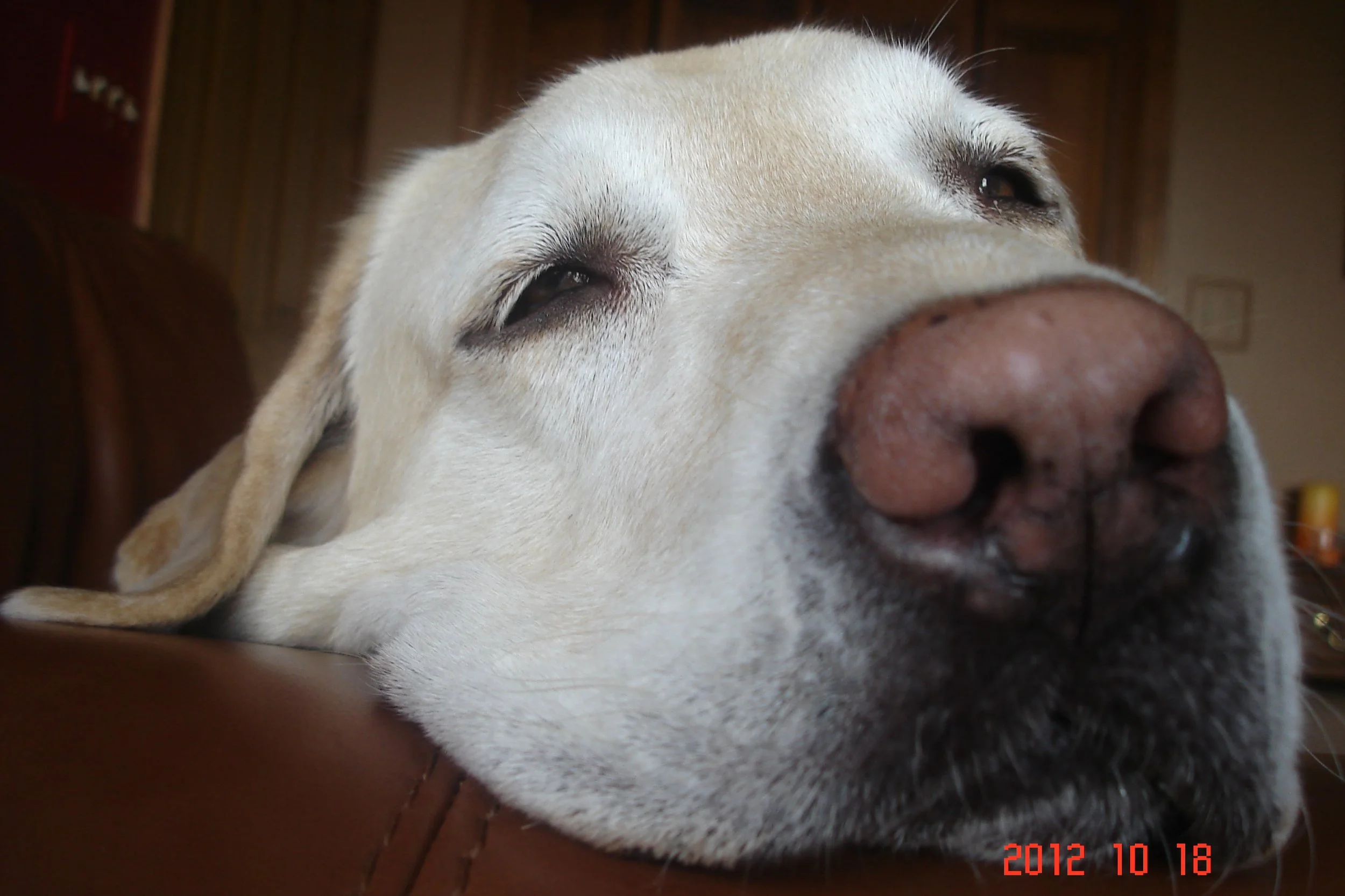 christmas 2012 107.JPG