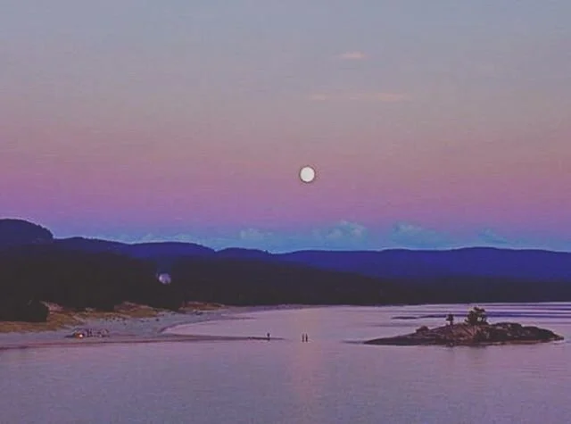‘Only a lunatic would think art is superior to nature’ -Gao Xingjian
🌔 Calling Artists to Lake Superior for self-directed Residencies at #theanopoint 🌖 .
.
Enjoy the #fullmoon this weekend, and remember to submit your application before
