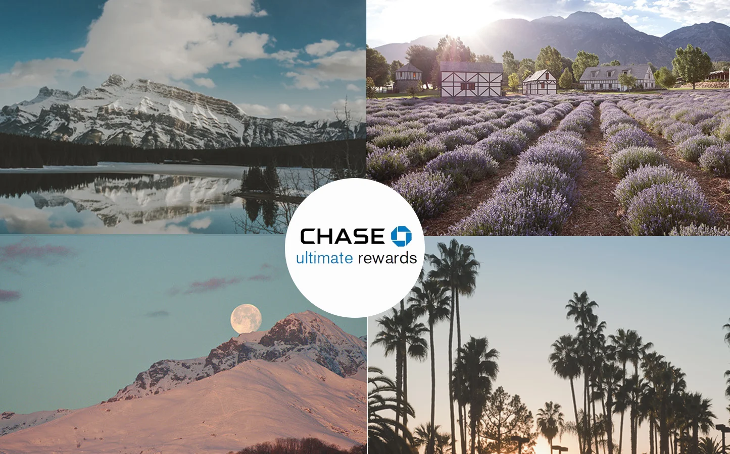 Chase copy.jpg