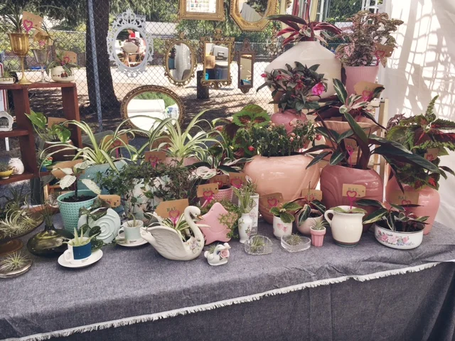 SODO Flea - 2/10/18