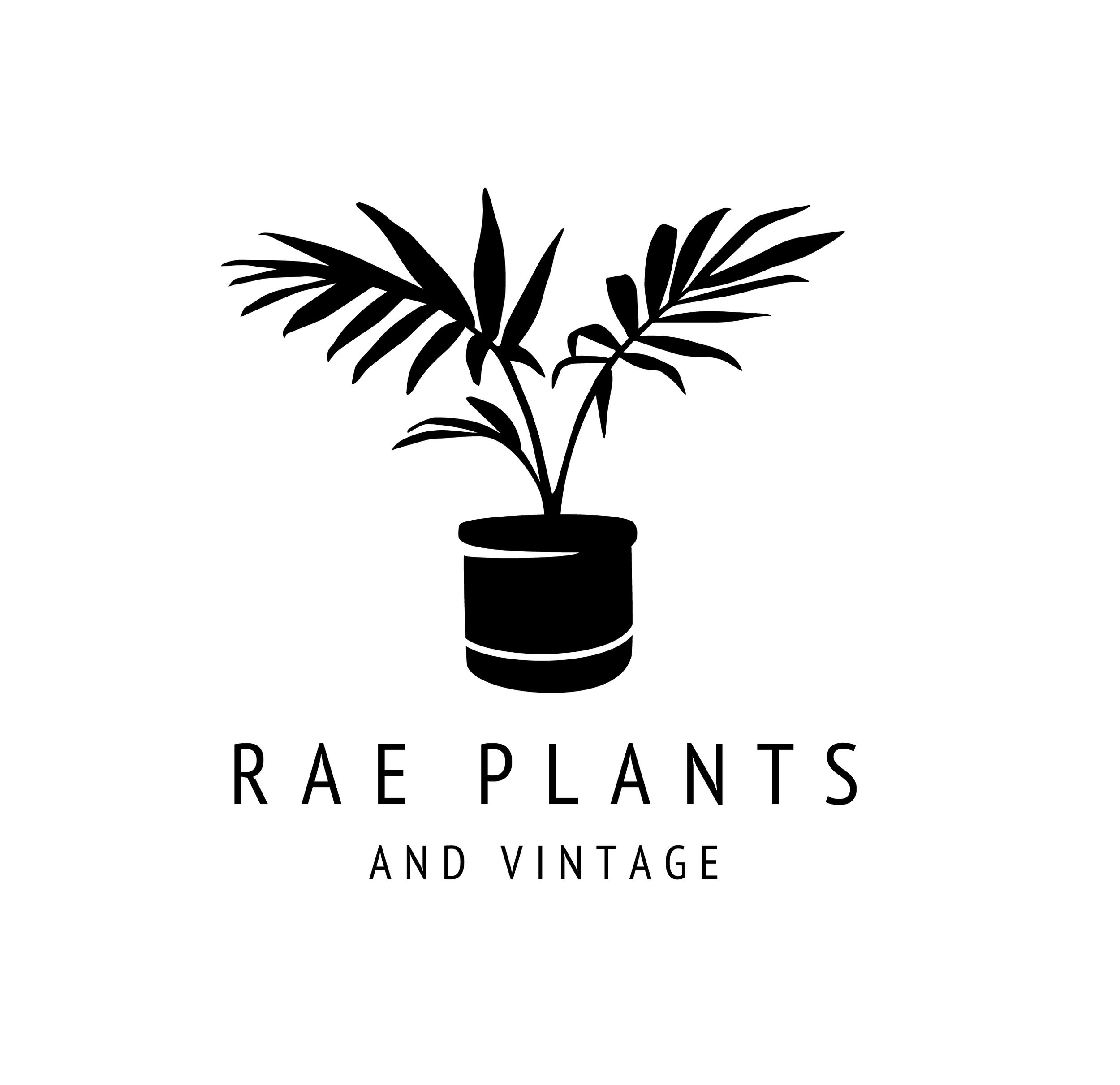 Rae Plants Logo 