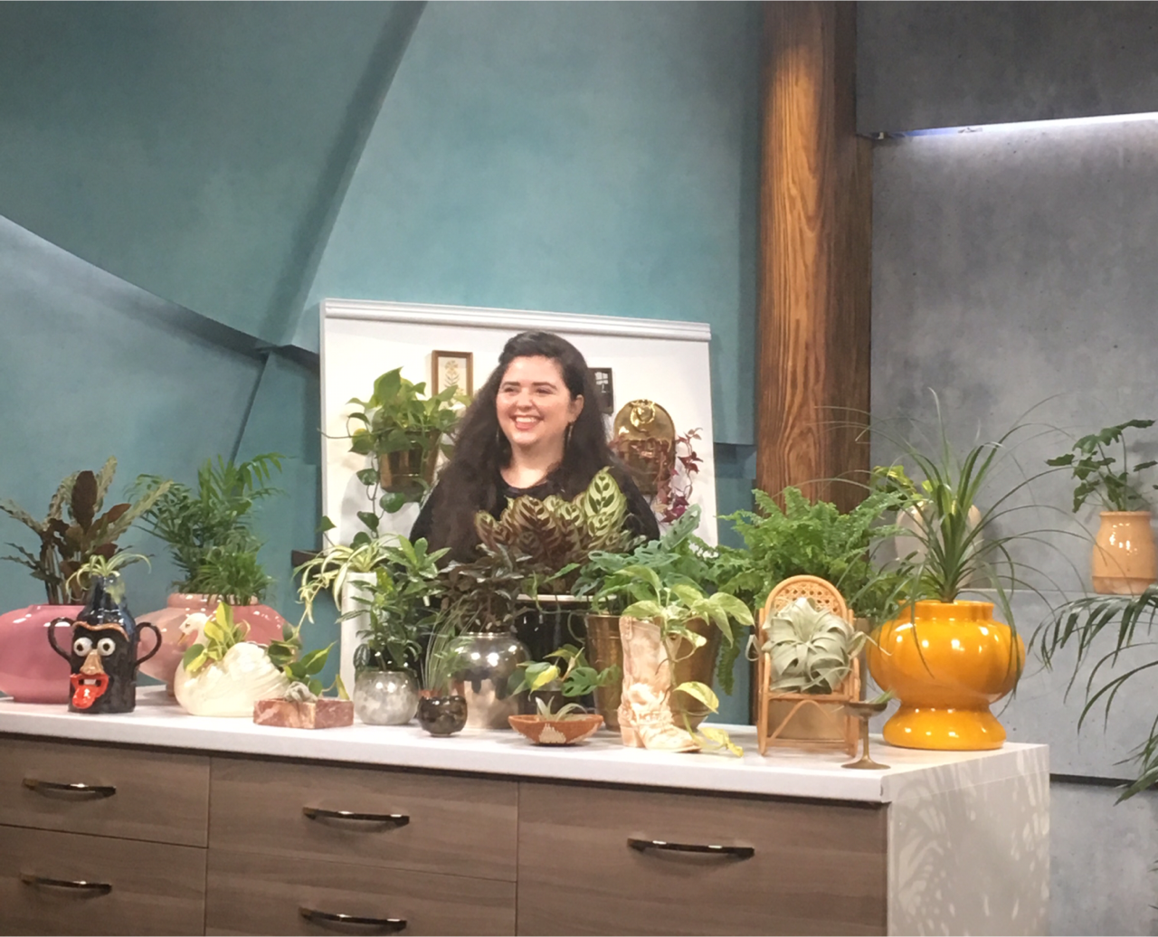 Rae Plants on New Day Northwest