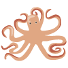 octopus.png
