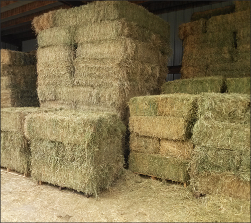 hay-stacks.png