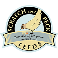 Scratch and peck.png