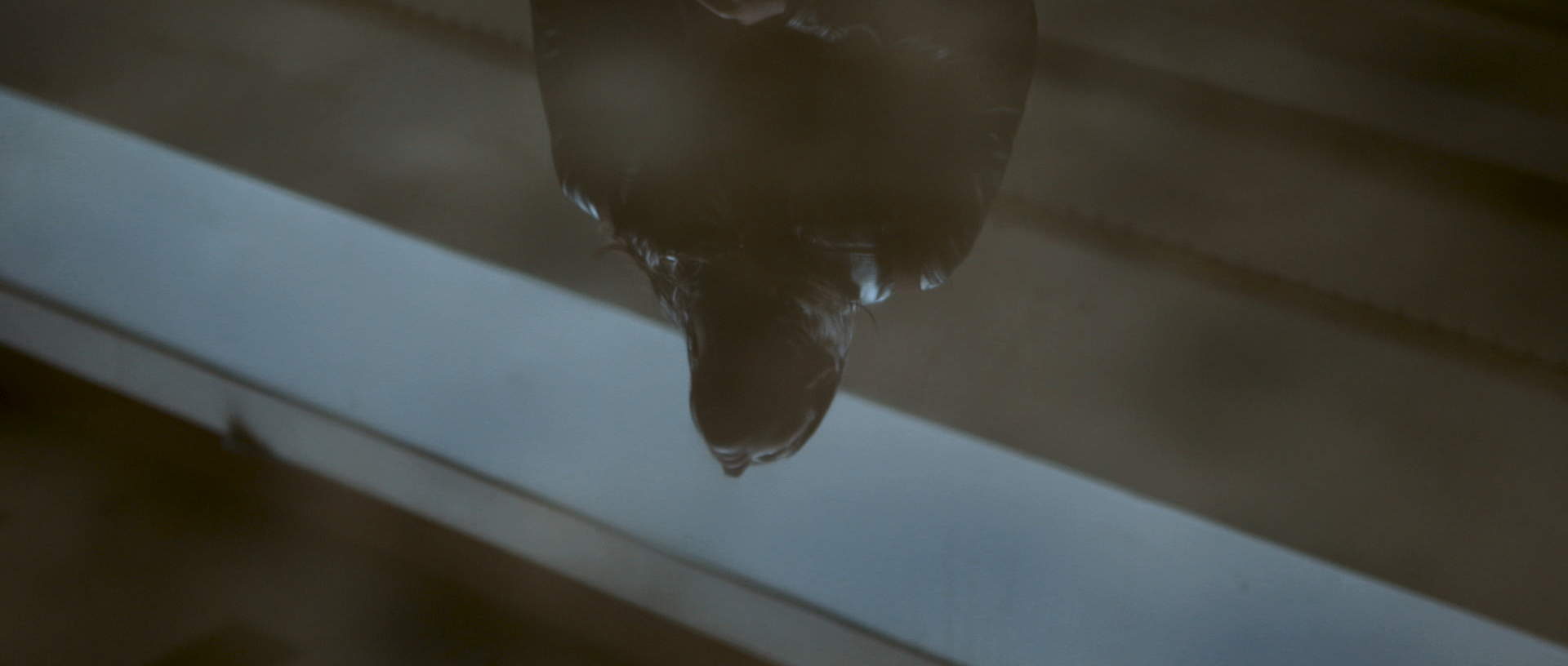 Sequence 01.00_00_31_06.Still045.png