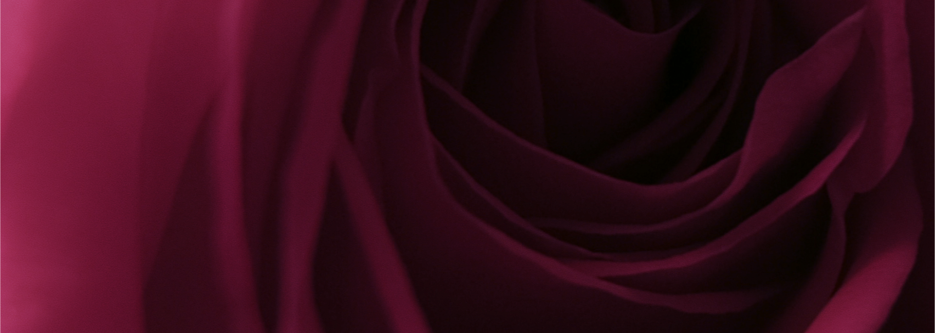 Sequence 03.00_03_23_07.Still044.png