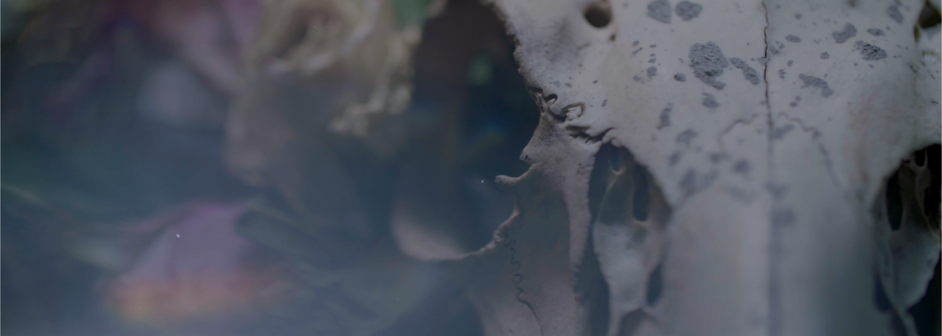 Sequence 03.00_04_32_17.Still058.png