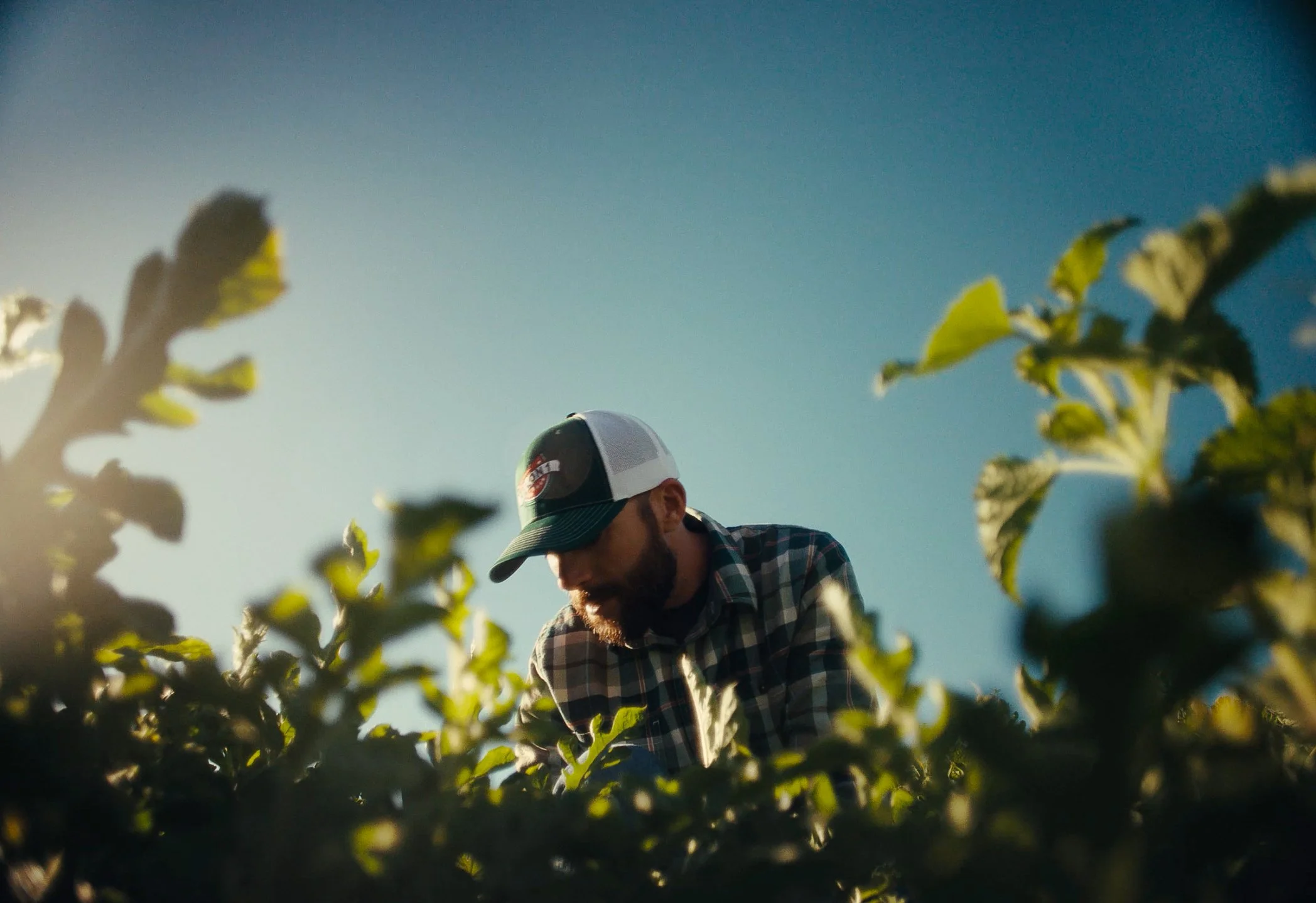 Screenshot 2026-01-15 at 2.38.04 PM.jpg