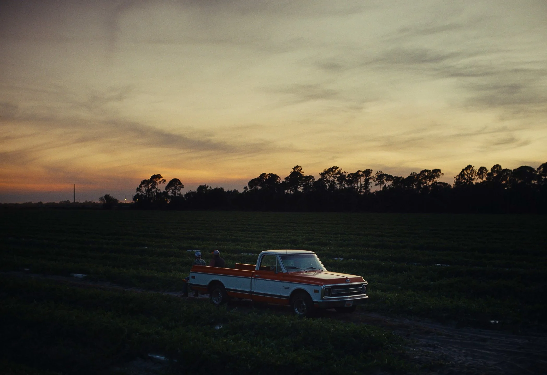 Screenshot 2026-01-15 at 2.38.28 PM.jpg