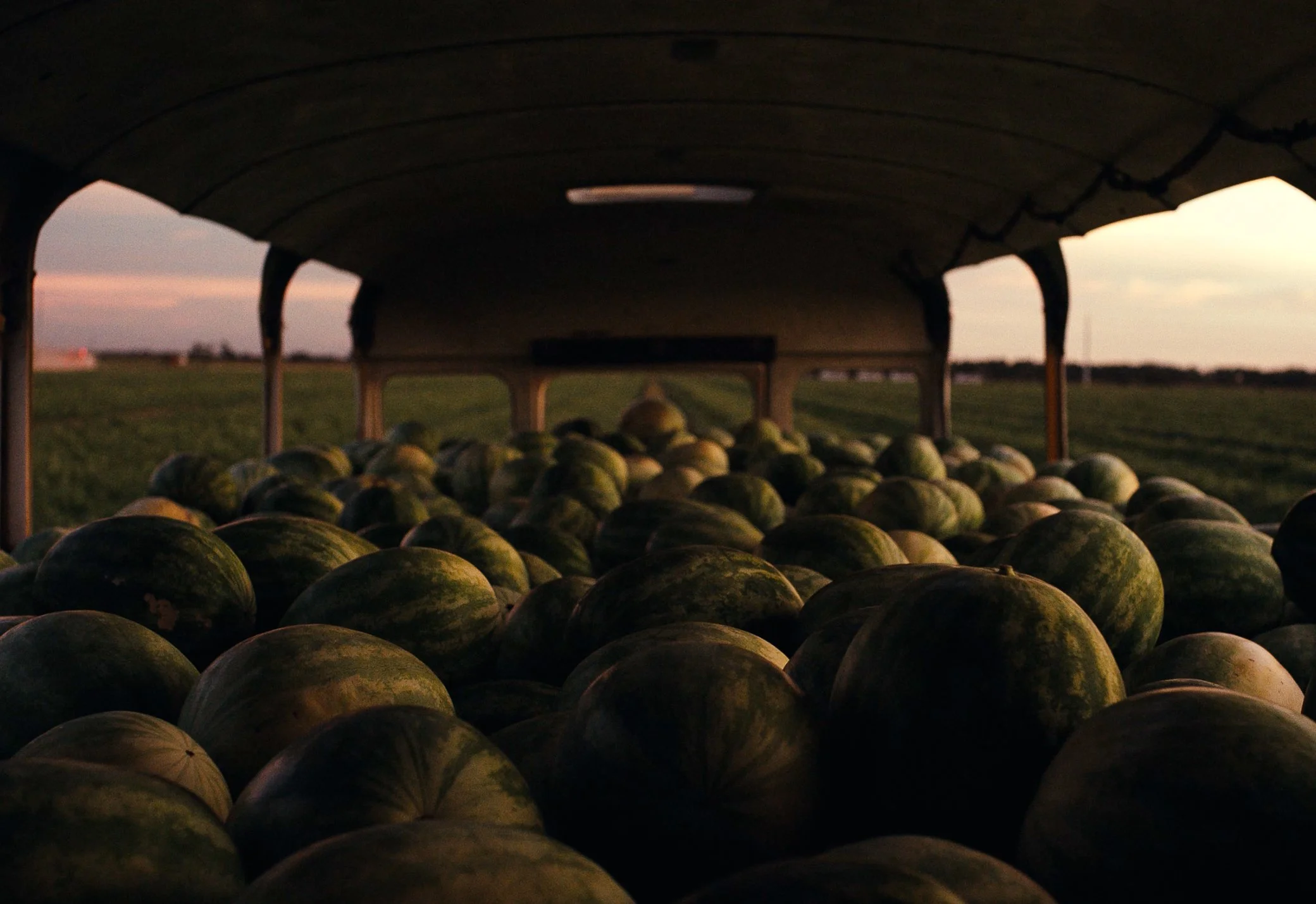 Screenshot 2026-01-15 at 2.39.03 PM.jpg