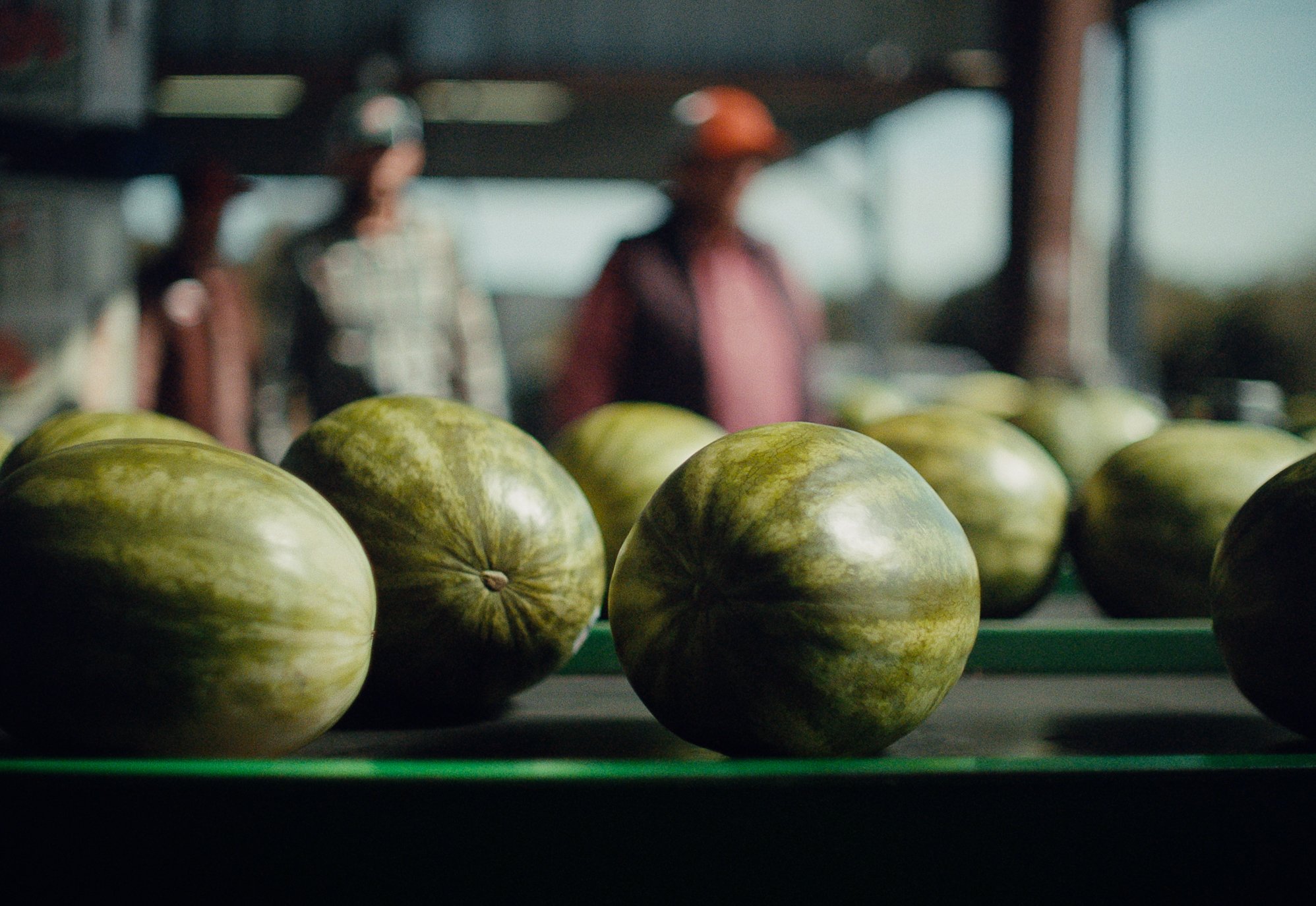 Screenshot 2026-01-21 at 10.20.09 AM.jpg