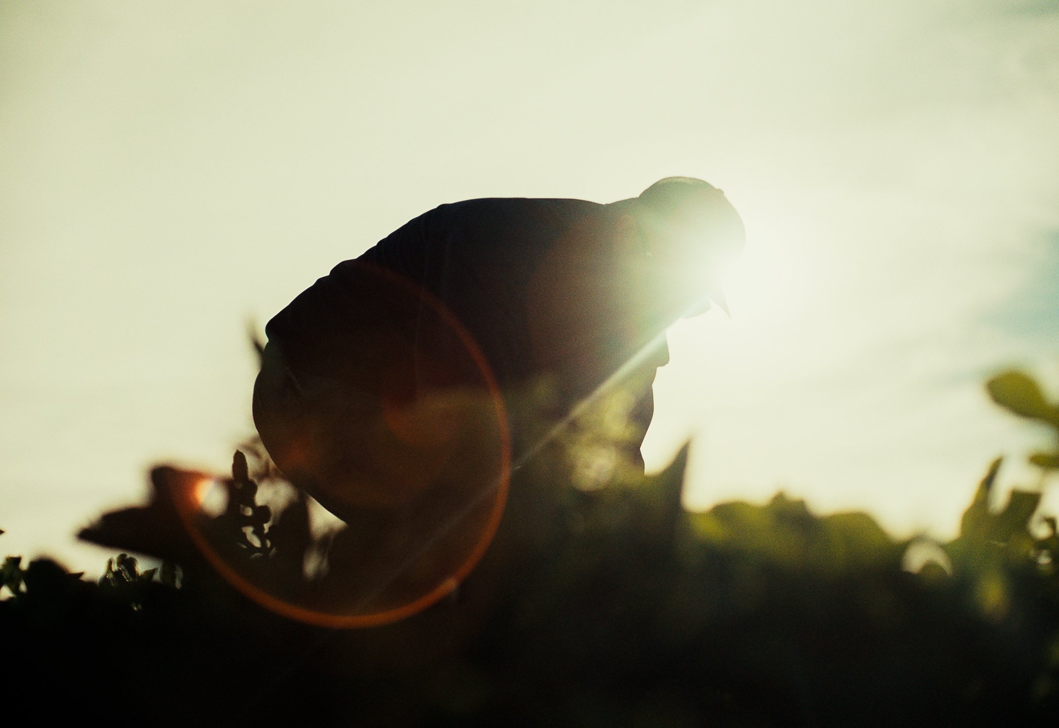 Screenshot 2026-01-21 at 10.27.35 AM.jpg