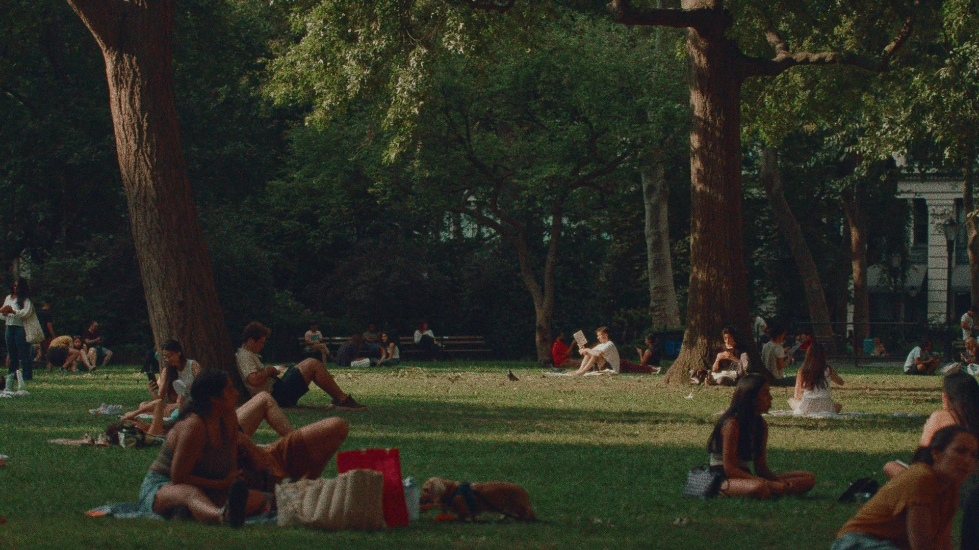 Still 2024-07-30 023913_1.72.1.jpg