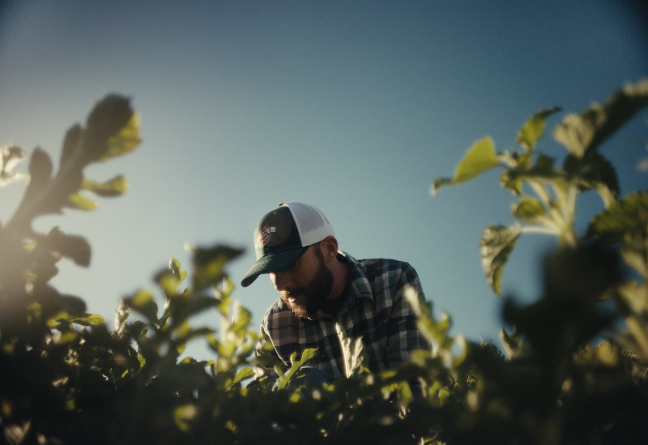 Screenshot 2026-01-15 at 2.38.04 PM.png