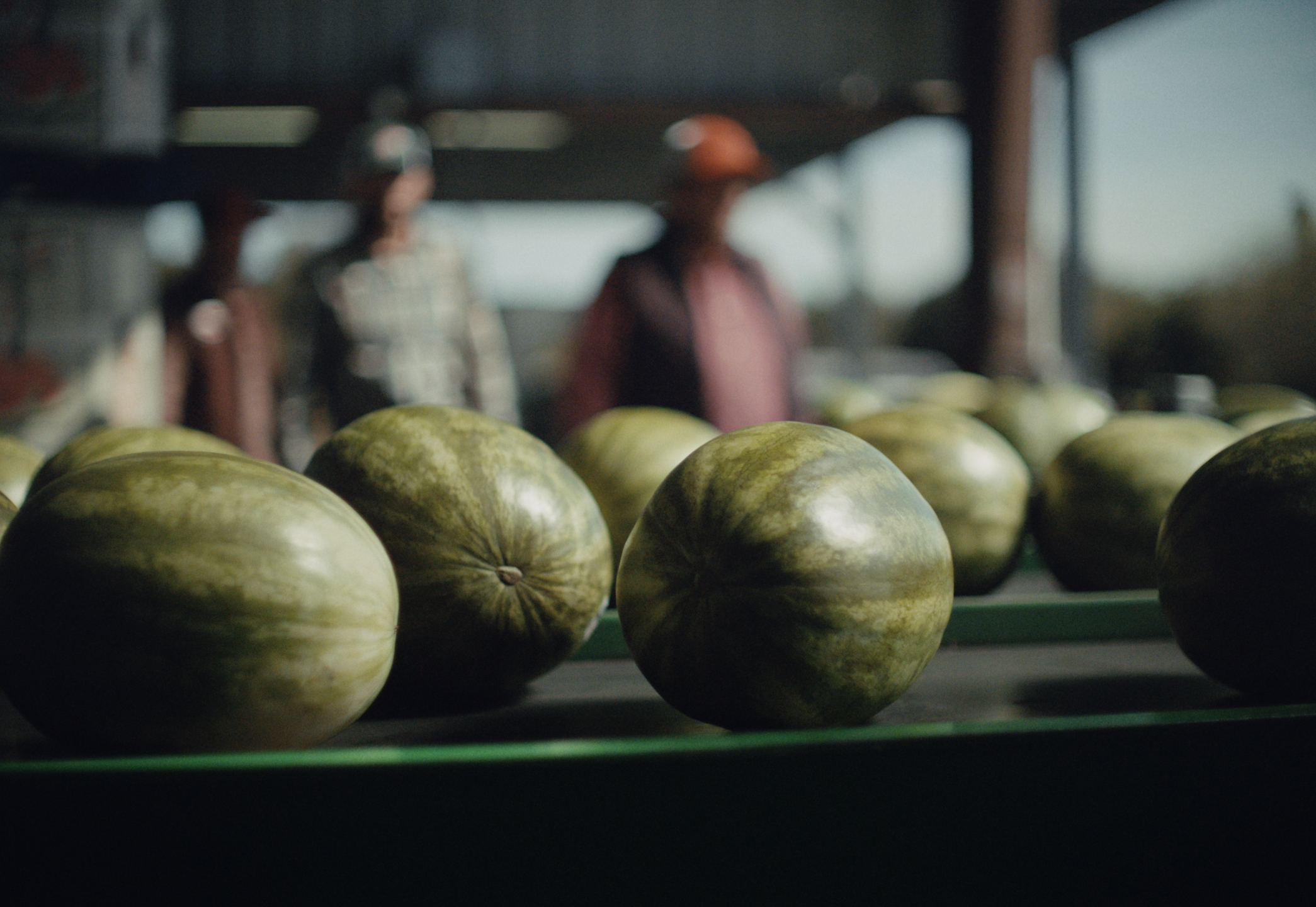 Screenshot 2026-01-21 at 10.20.09 AM.png