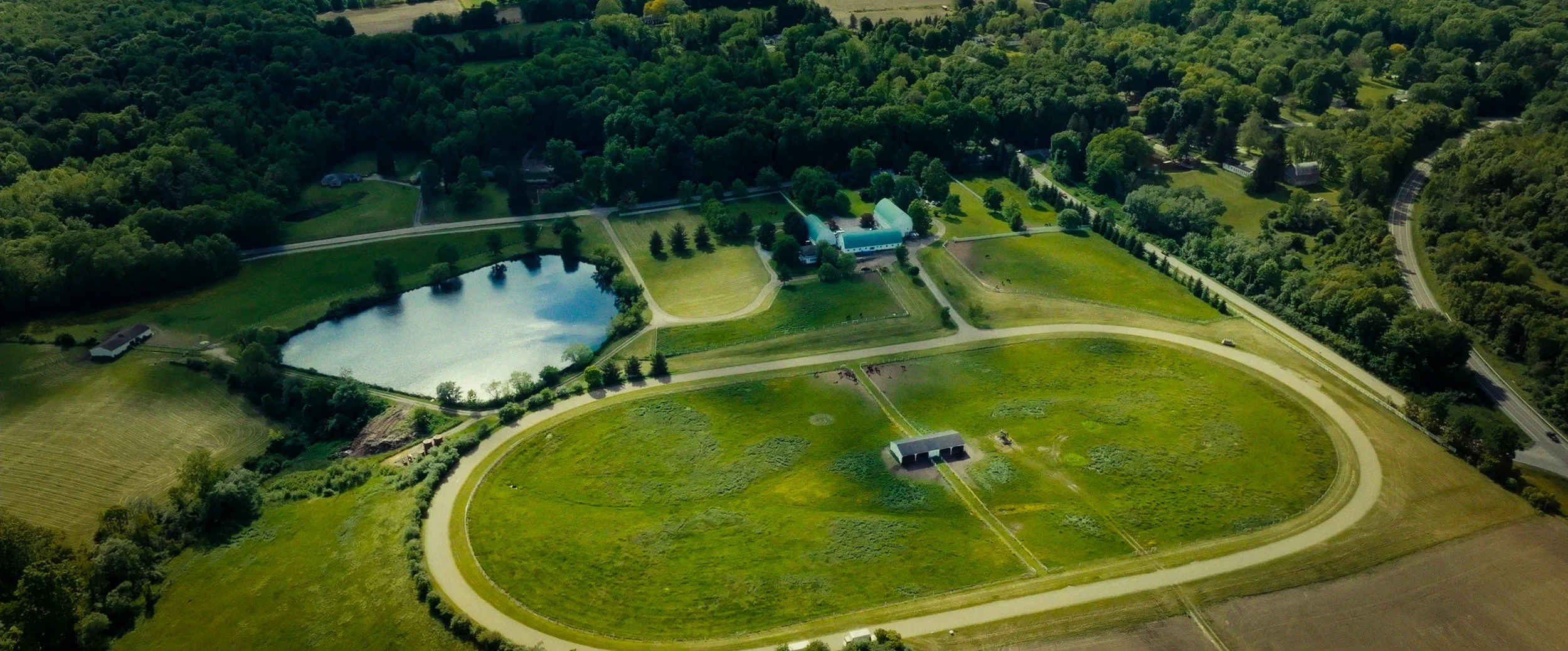 Buckmark_ClientColor_Screengrabs_014000.jpg