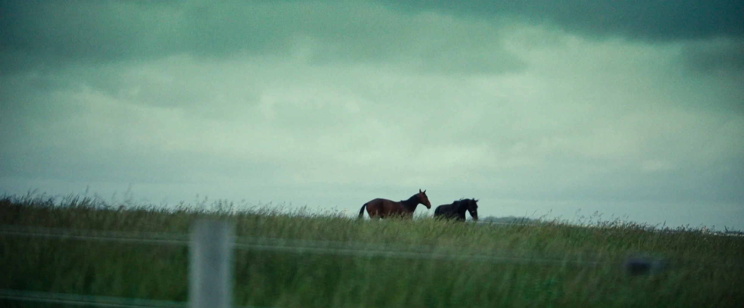 Buckmark_ClientColor_Screengrabs_017000.jpg