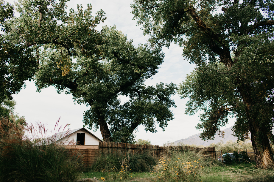 599-albuquerque-wedding-photographer-los-poblanos.jpg