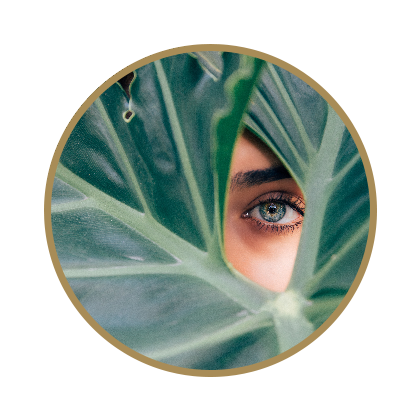 eyes.png