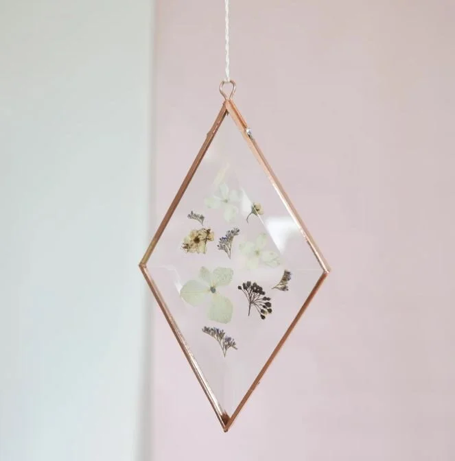 hydrangea ranger.JPG