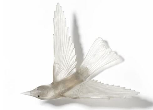 Lukeke Glass Bird - Korimako - Bellbird
