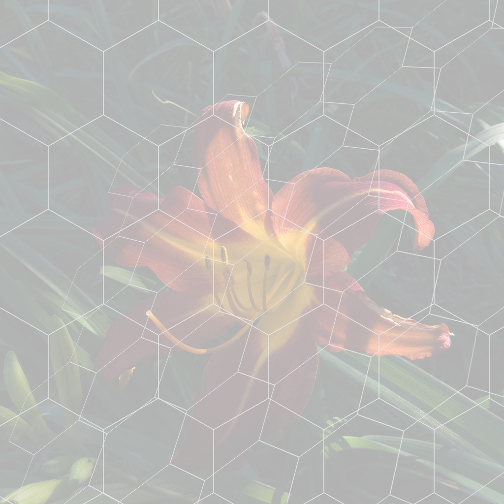 L2080673_72_1024 30.png
