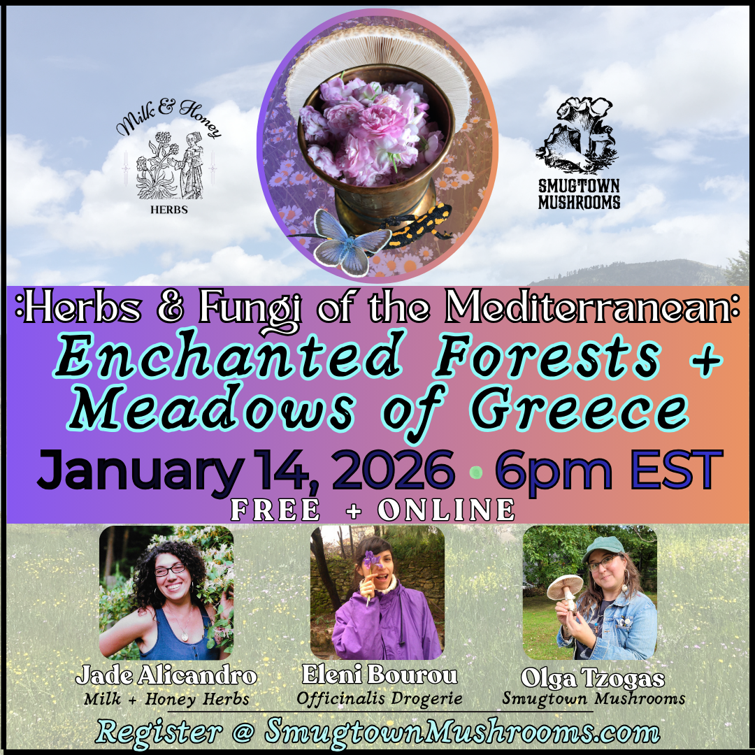 Herbs + Fungi of the Mediterranean: Enchanted Forests and Meadows of Greece
