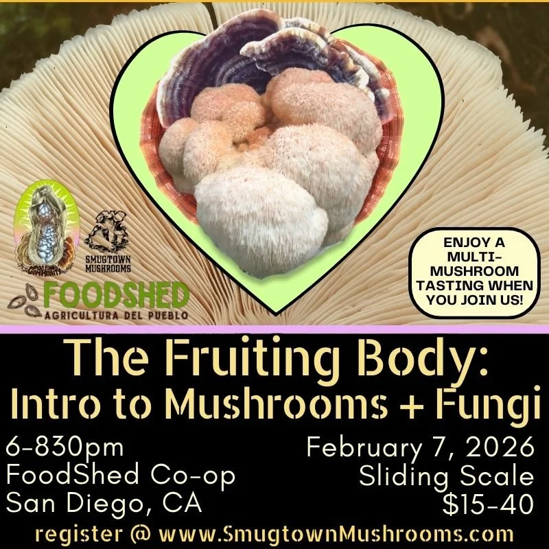 The Fruiting Body: Intro to Mushrooms + Fungi w/ Tasting!