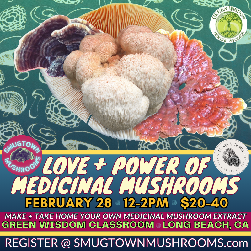 Love + Power of Medicinal Mushrooms